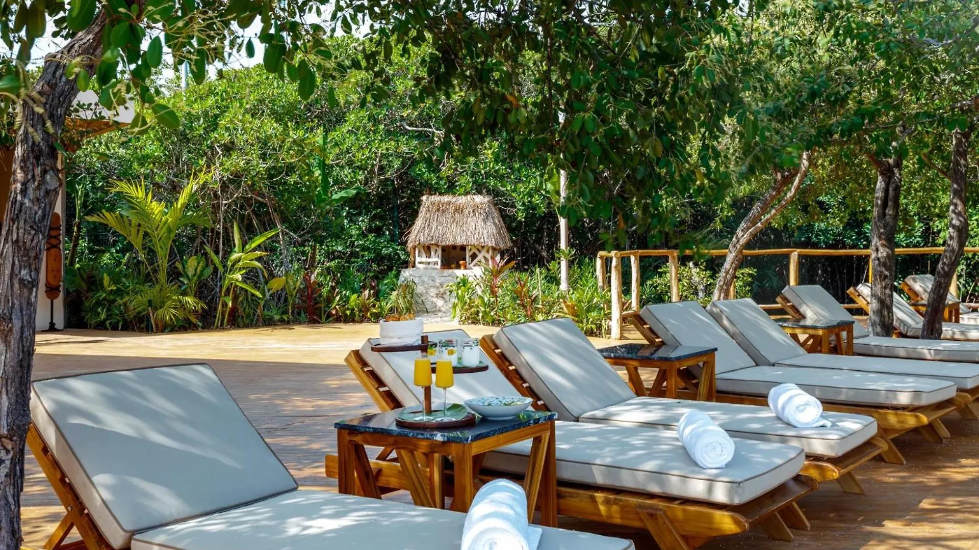 Hotel Shibari - Restaurant & Cenote Club Tulum